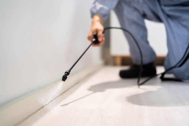 Bed Bug Pre-Treatment Preparation Assessment in Parks