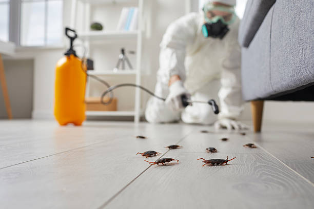Post-Treatment Bed Bug Interceptor Monitoring in Parks
