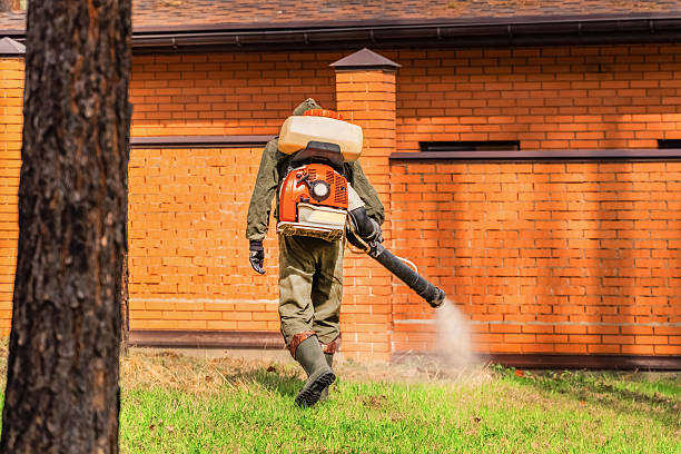 Bed Bug Clearance Verification and Documentation in Parks